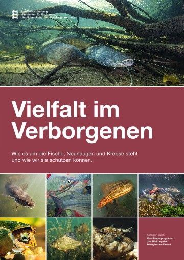 Biodiversitätsbroschüre
