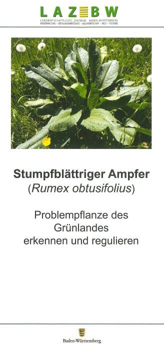 Flyer Stumpfblättriger Ampfer