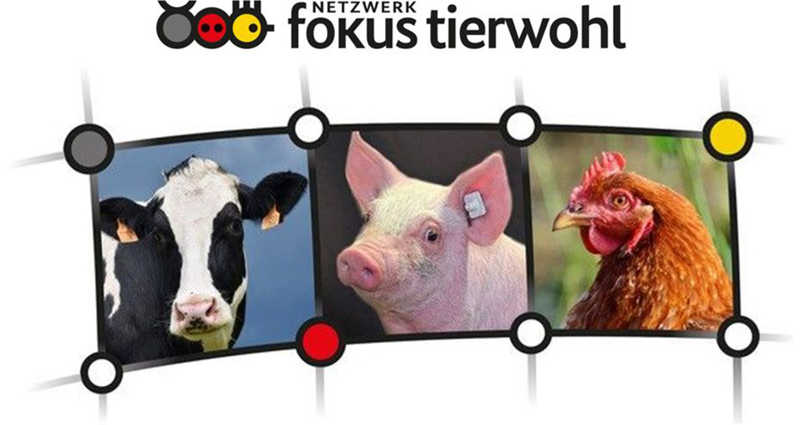 Netzwerk Fokus Tierwohl